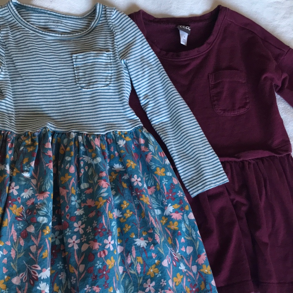 Tea and Carter’s dress bundle
